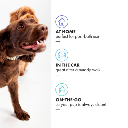 DotDotPet Mini Eco Dog Towels (10 Pack) | Compact, Absorbent & Biodegradable | Quick Clean-Ups for Paws, Drool & Dirt