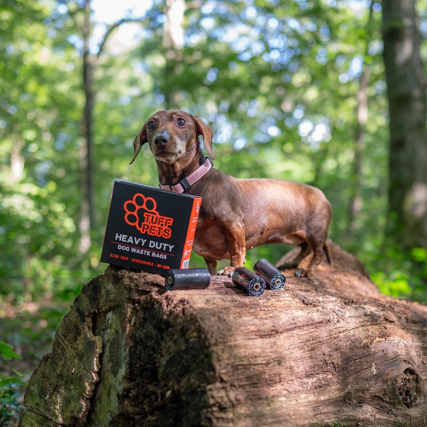 Tuff Pets - Dog Poop Bags Rolls With Tie Handles - 16 Rolls of Biodegradable Poo Bags - Fits in any Dogs Poo Bag Dispenser or Holder - 50% Stronger Than Average Doggy Waste Bags