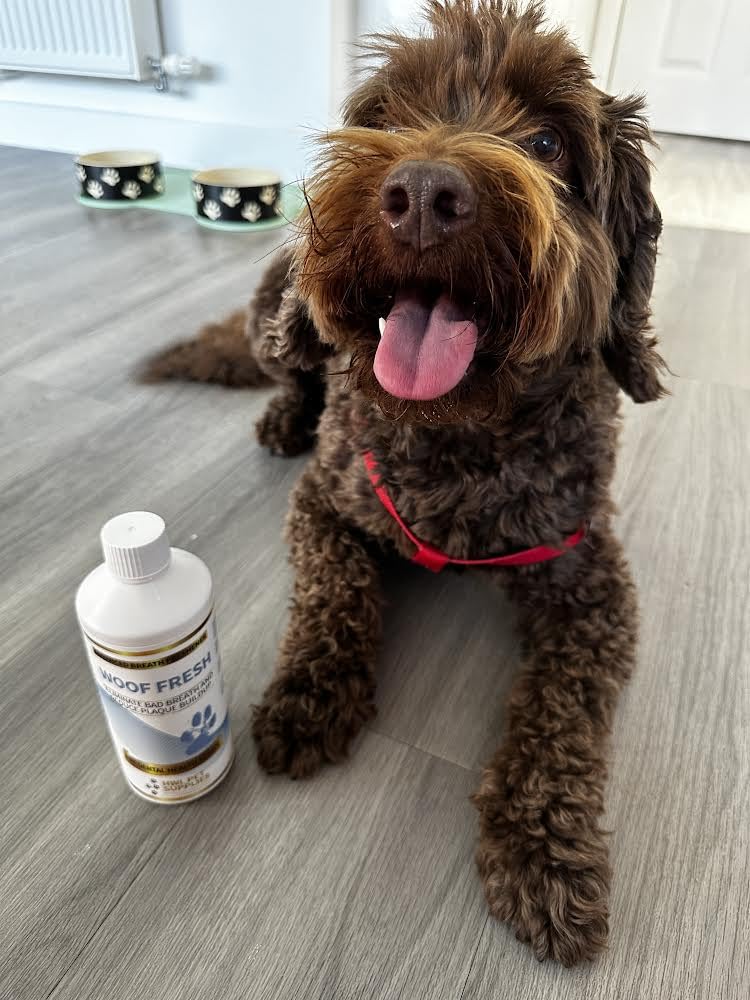 Dog Breath Freshener in Water Made in UK - Dog Teeth Cleaning Products, Plaque Remover for Teeth Dogs, Oral Care for Pets Bad Breath Control, Dental Water for Dogs, Daily Mouth Wash No Brushing Needed