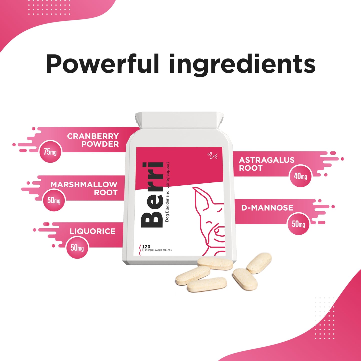 Dog's Lounge - Berri - Advanced Bladder & Kidney Support for Dogs | Supplement UK Made | 120 Tablets