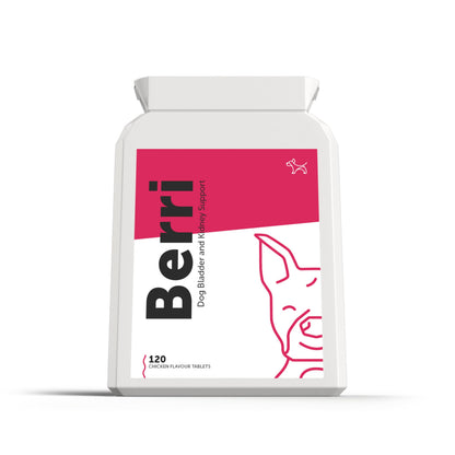 Dog's Lounge - Berri - Advanced Bladder & Kidney Support for Dogs | Supplement UK Made | 120 Tablets