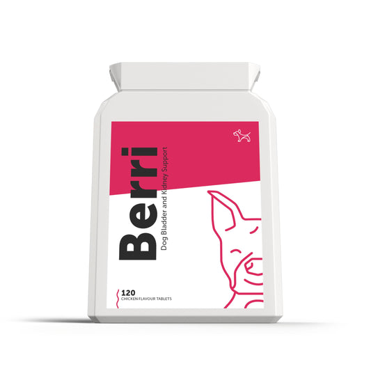Dog's Lounge - Berri - Advanced Bladder & Kidney Support for Dogs | Supplement UK Made | 120 Tablets