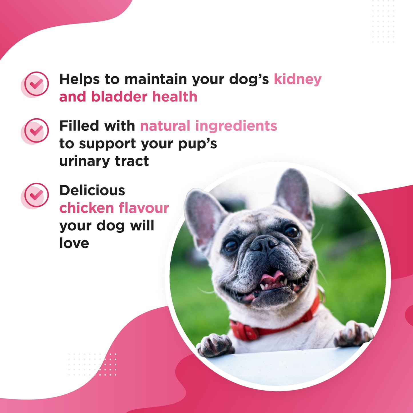Dog's Lounge - Berri - Advanced Bladder & Kidney Support for Dogs | Supplement UK Made | 120 Tablets