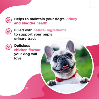 Dog's Lounge - Berri - Advanced Bladder & Kidney Support for Dogs | Supplement UK Made | 120 Tablets