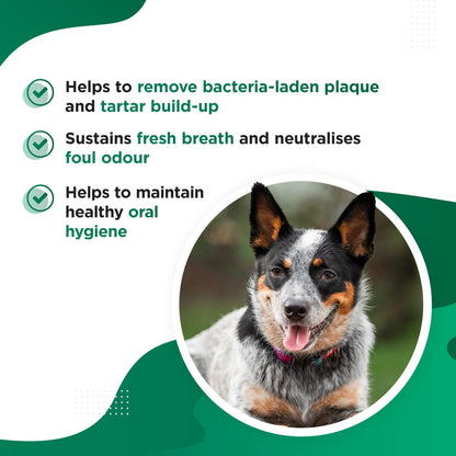 Dog's Lounge Chomper – Natural Dental Supplement for Dogs with Seaweed, Pomegranate, Herbs & Zinc | Fights Plaque & Bad Breath | 100% Natural Powder – 200g