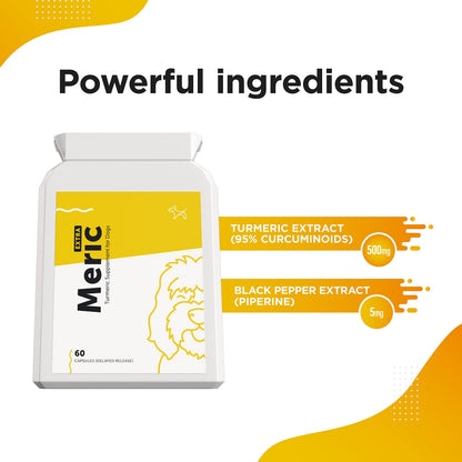 Dog's Lounge - Meric - Advanced Turmeric Extract for Dogs Antioxidant Hip & Joint Care Supplement Made in the UK (60 Capsules)