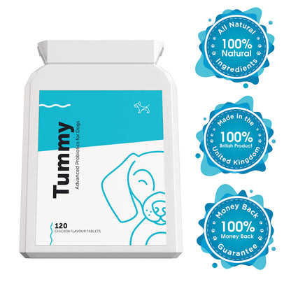 Tummy - Advanced Probiotic & Prebiotic for Dogs with Sensitive Stomachs, Gas, Itchy Skin 120 Tablets