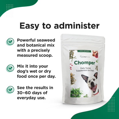 Dog's Lounge Chomper – Natural Dental Supplement for Dogs with Seaweed, Pomegranate, Herbs & Zinc | Fights Plaque & Bad Breath | 100% Natural Powder – 200g