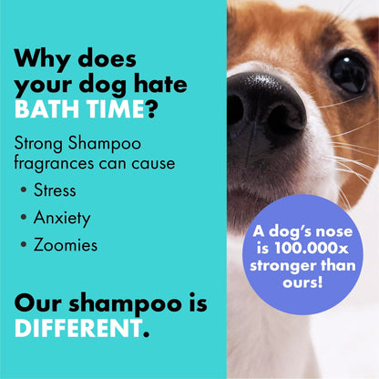 DotDotPet Conditioning Dog Shampoo - For All Breeds - Preboitic - Vegan - Sensitive Skin -