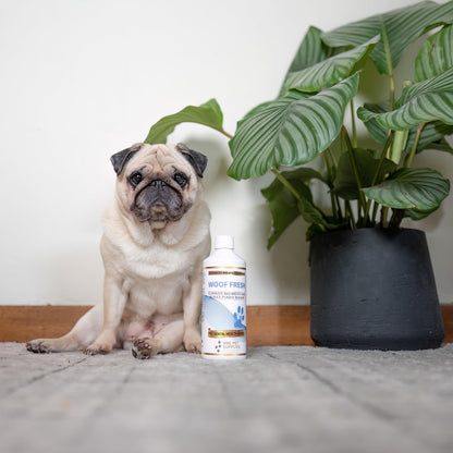Dog Breath Freshener in Water Made in UK - Dog Teeth Cleaning Products, Plaque Remover for Teeth Dogs, Oral Care for Pets Bad Breath Control, Dental Water for Dogs, Daily Mouth Wash No Brushing Needed