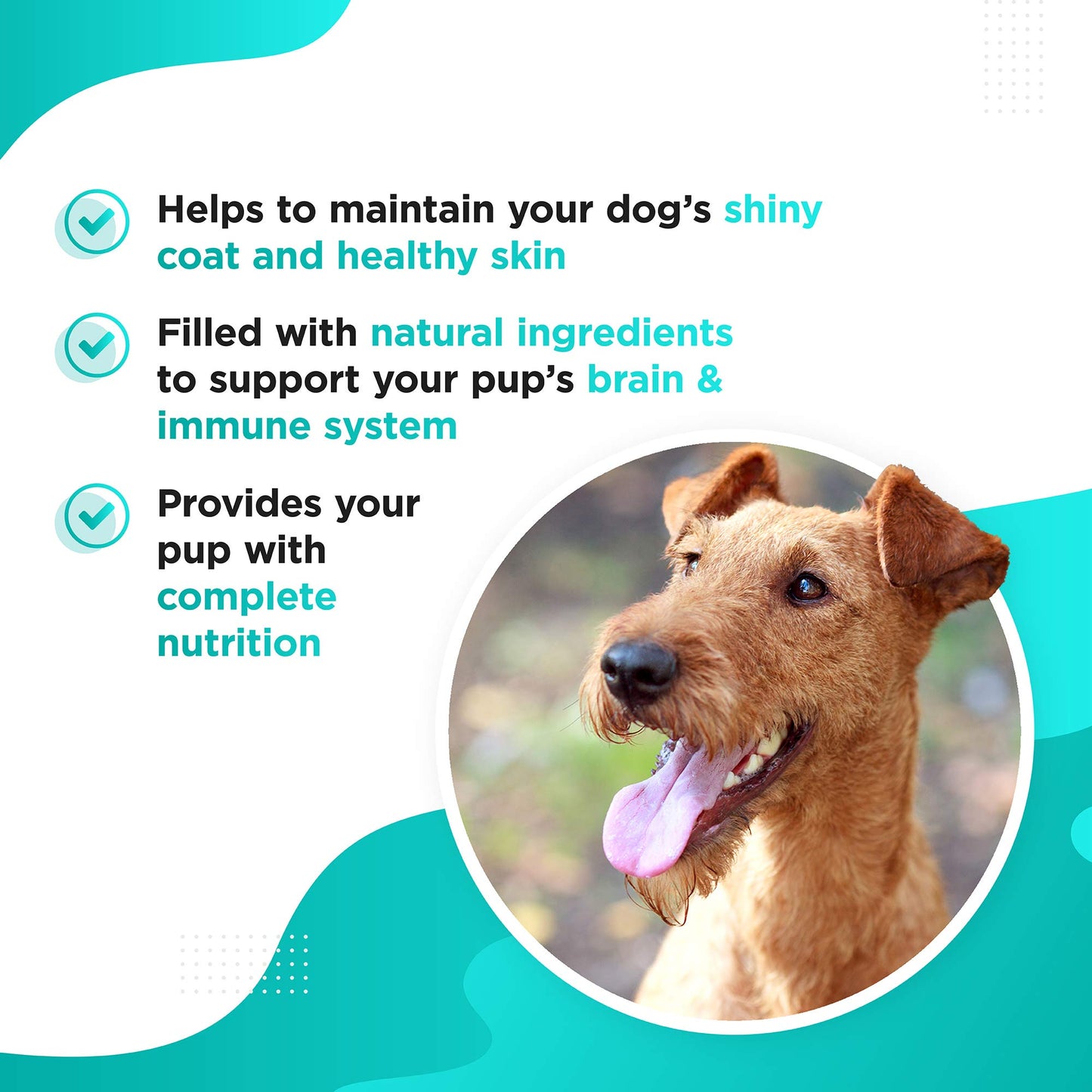 Dog's Lounge - OMEGA - Natural Omega 3, 6 & 9 Fish Oil Supplement for Dogs. 120 Soft Gel Capsules