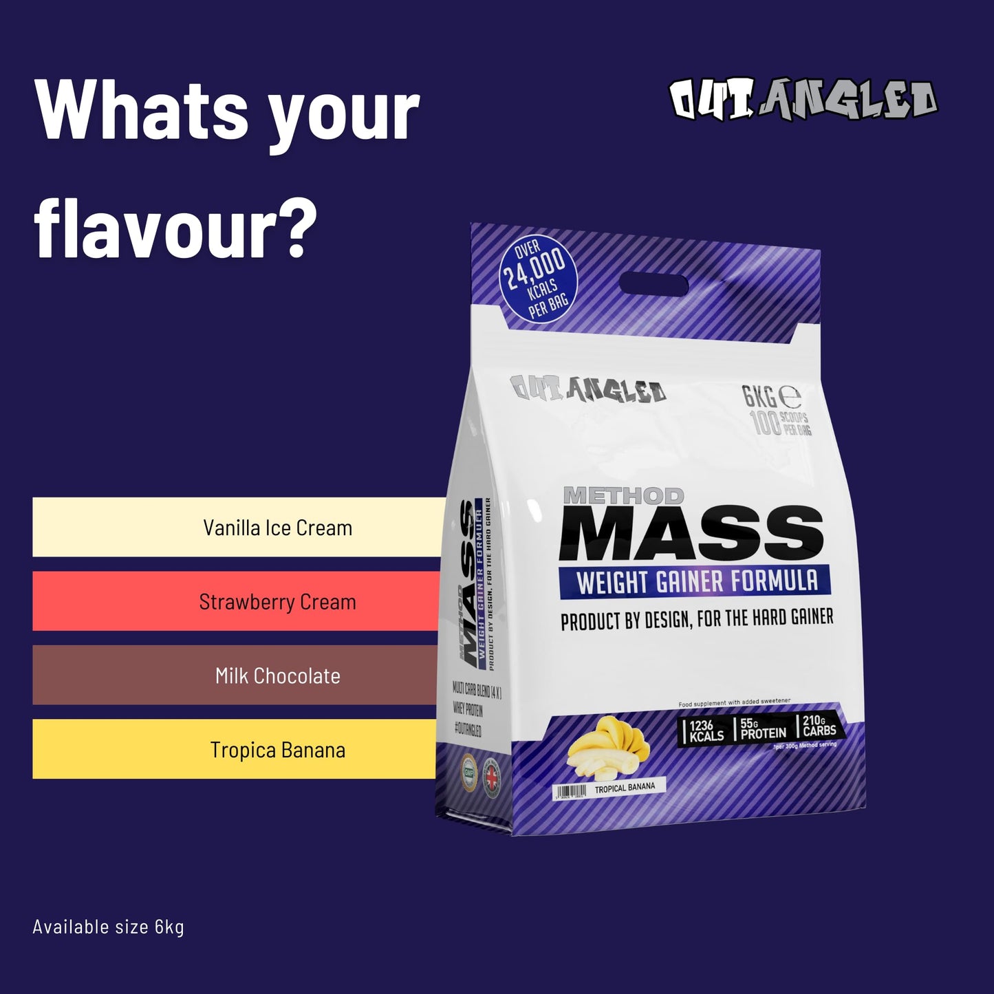 Out Angled Method Mass Gainer Powder, 6kg, 100 Scoops Whey Protein Powder