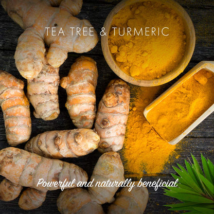 Friendly Soap Handmade Natural Tea Tree & Turmeric Soap (Case of 6)