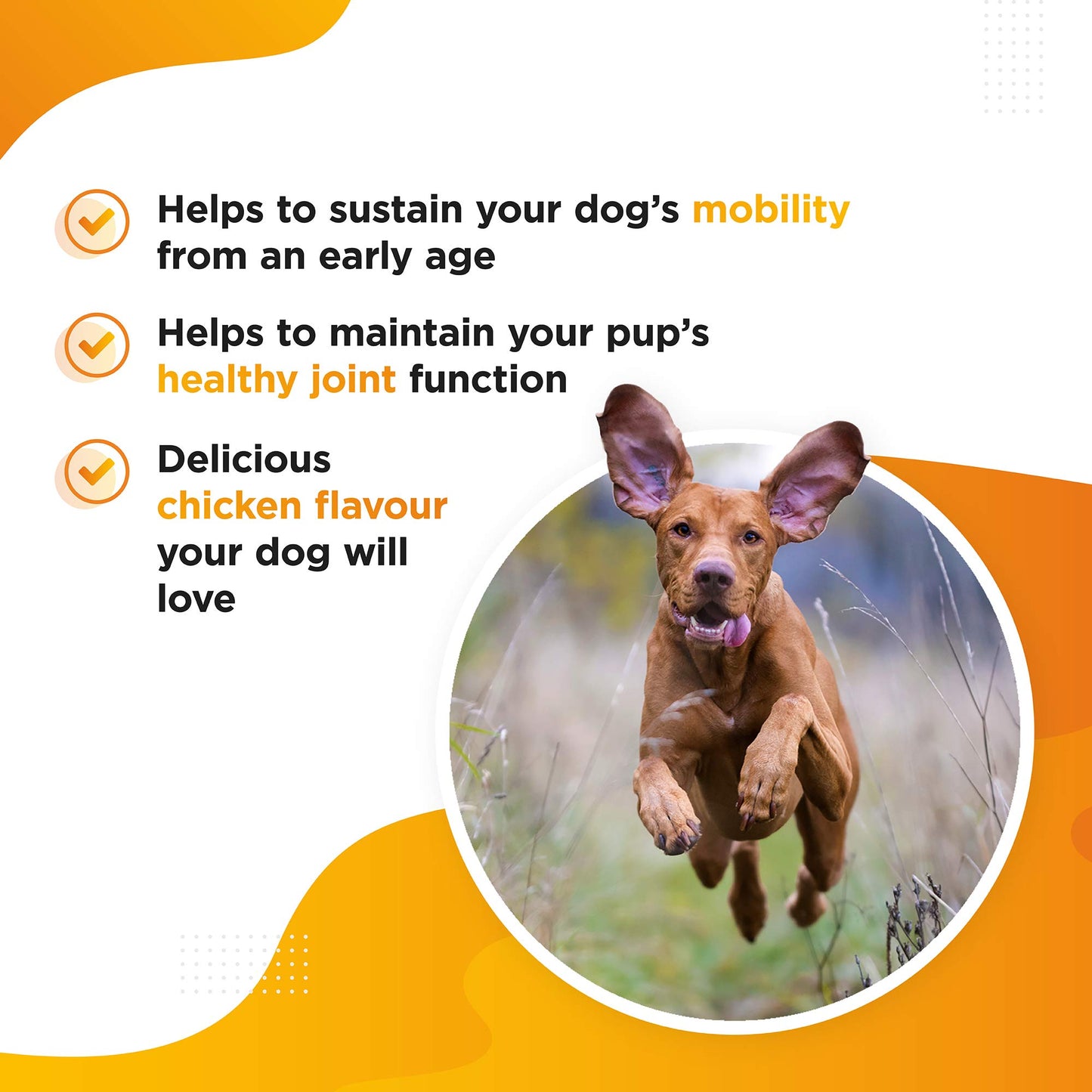 Dog's Lounge - MOBI - Hip & Joint Supplement for Dogs | Premium Advanced Glucosamine Supplement with Powerful and Natural Glucosamine, UK Made