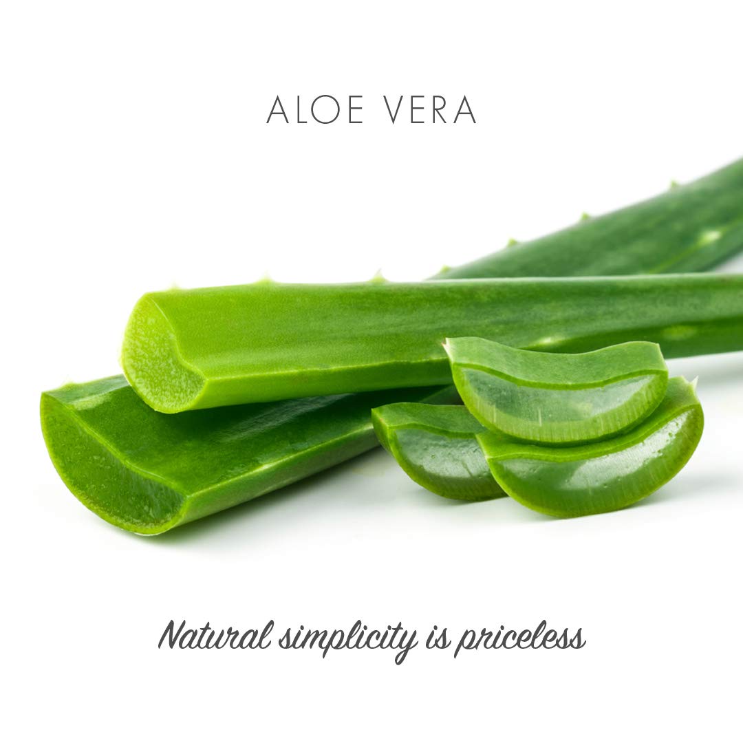 Friendly Soap Natural Handmade Aloe Vera Soap (Case of 6)