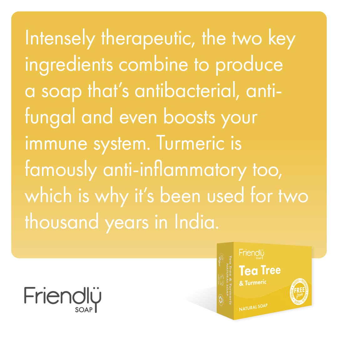 Friendly Soap Handmade Natural Tea Tree & Turmeric Soap (Case of 6)
