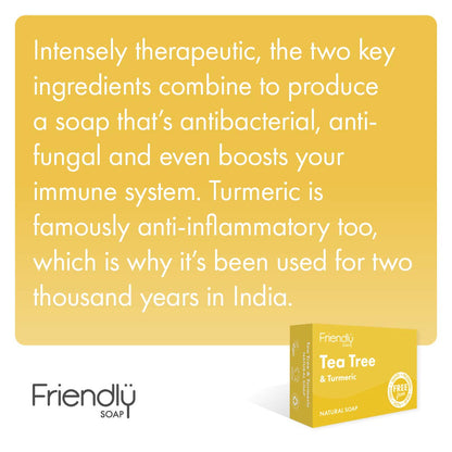 Friendly Soap Handmade Natural Tea Tree & Turmeric Soap (Case of 6)