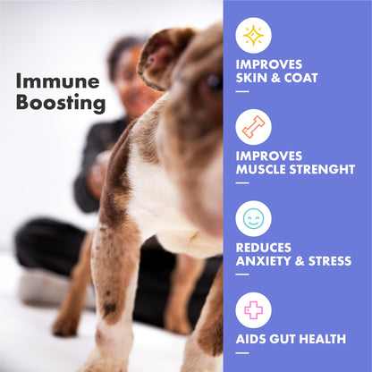 DotDotPet Dog Multivitamin Gummies (30 Pack) - Plasma Superfood Dog Supplements  With Collagen for Skin, Coat & Joints