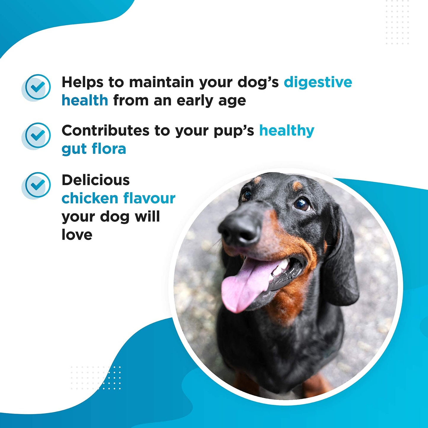 Tummy - Advanced Probiotic & Prebiotic for Dogs with Sensitive Stomachs, Gas, Itchy Skin 120 Tablets