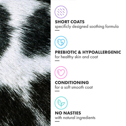 DotDotPet Conditioning Dog Shampoo - For All Breeds - Preboitic - Vegan - Sensitive Skin -