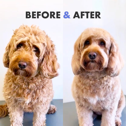 DotDotPet Conditioning Dog Shampoo - For All Breeds - Preboitic - Vegan - Sensitive Skin -